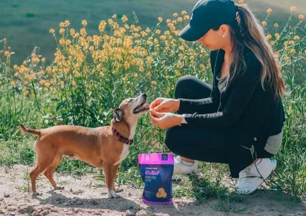 Woman giving dog a supplement treat